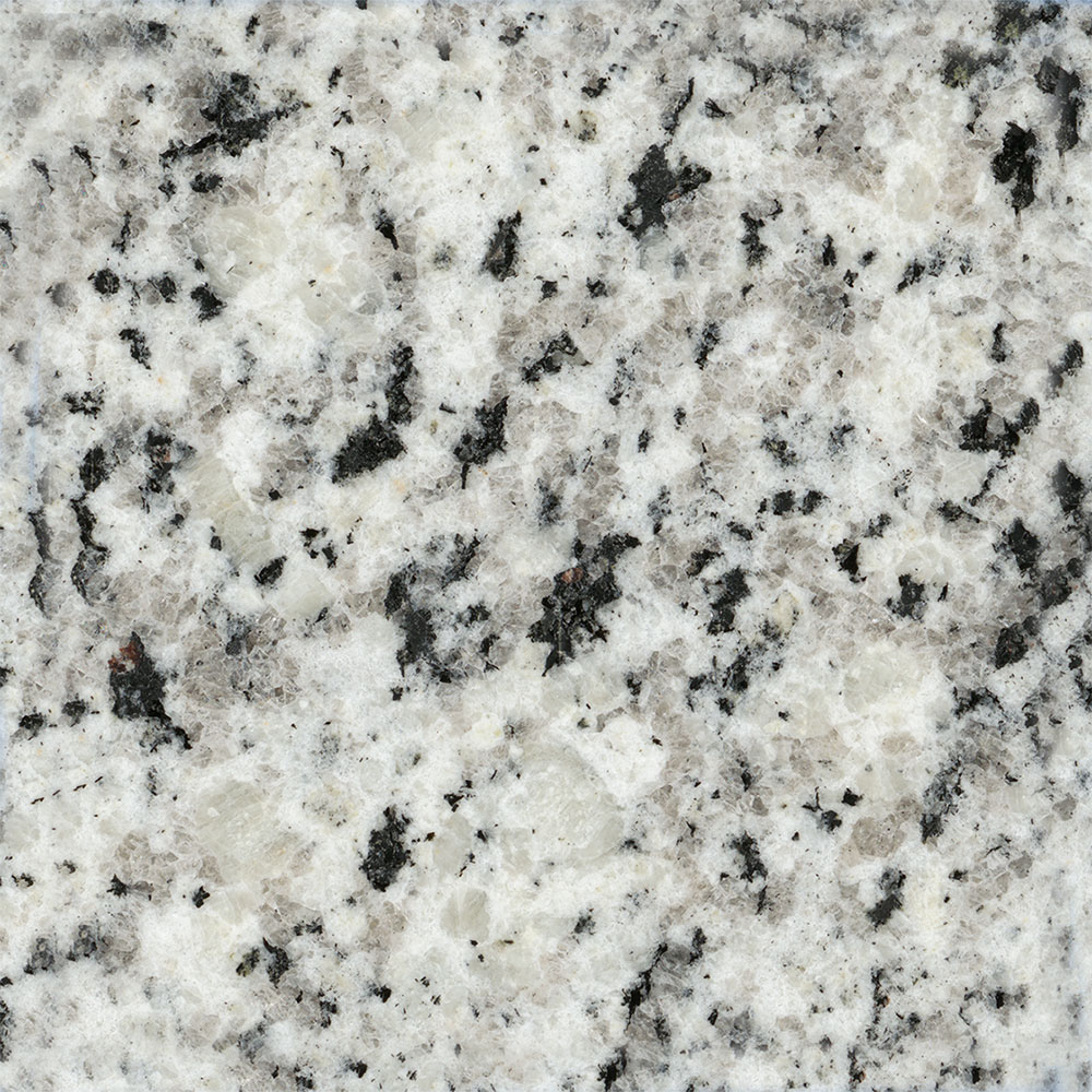 Roaming Mist 712995 712991 Swatch